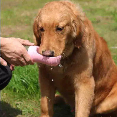 Garrafa de Água Portátil Para Cães e Gatos